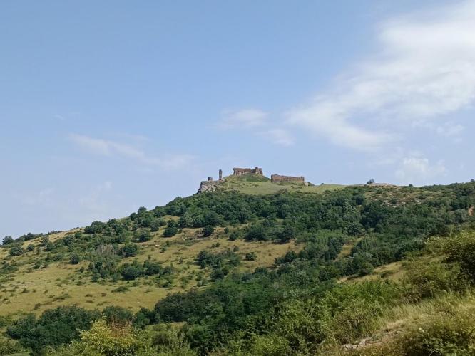 Vár