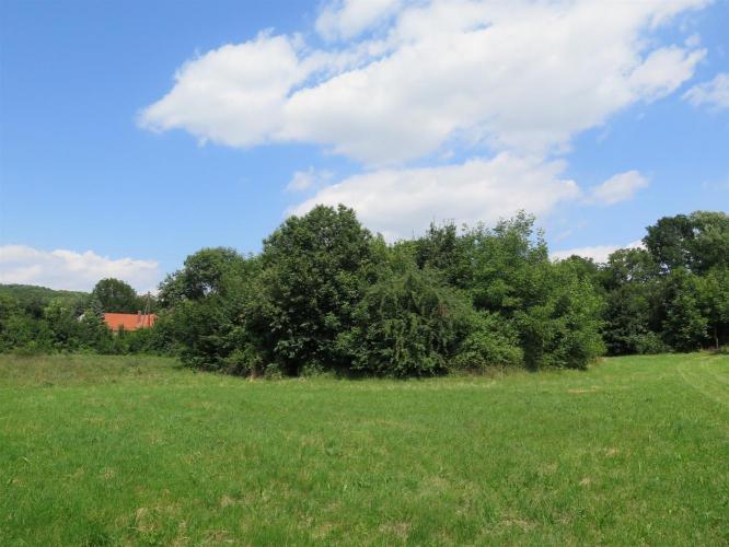 Puszta