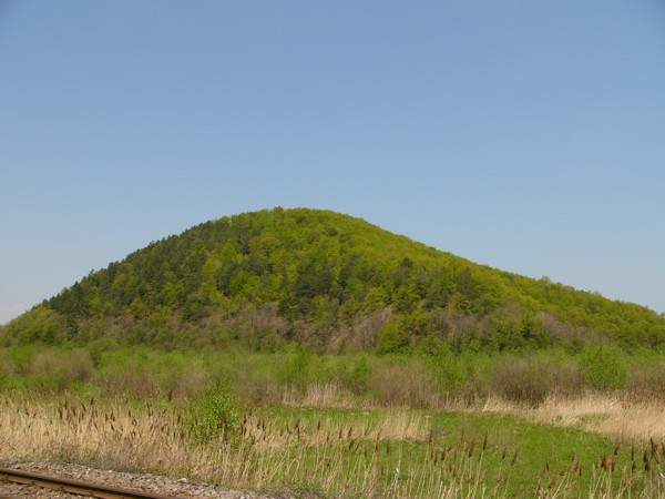 Riesenberg