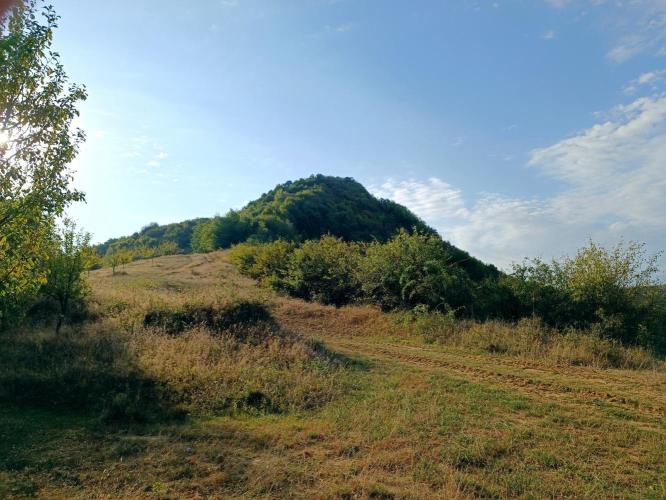 Bálványos-vár