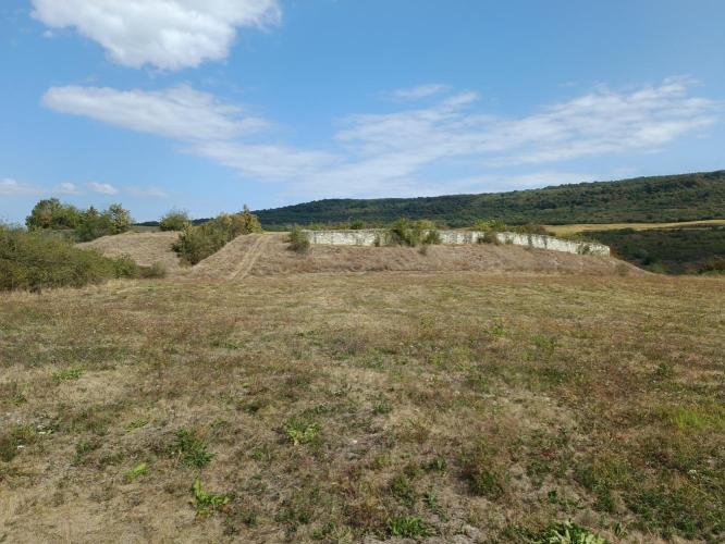 Vár