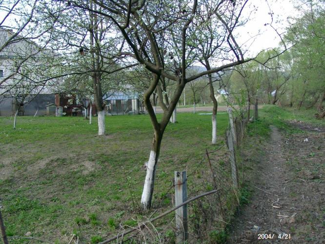 vár a Borsova szigetén vár a Borsova szigetén