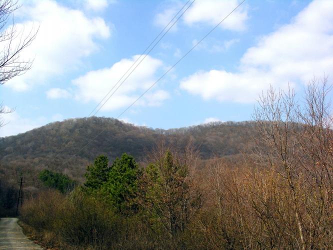 Várhegy