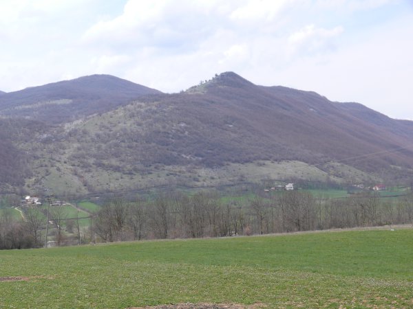 Vár