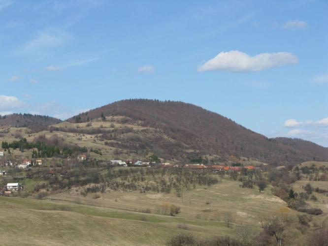Brezó
