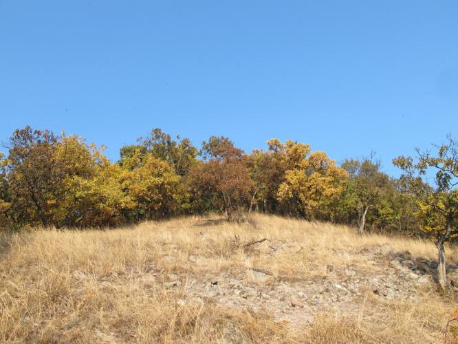 Zuvár