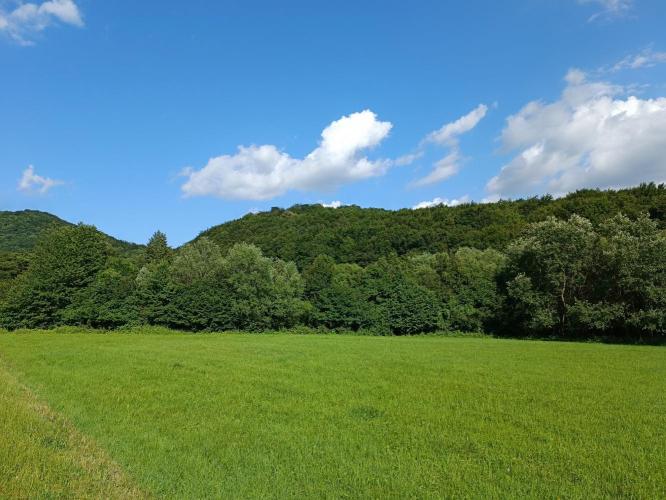 Vár