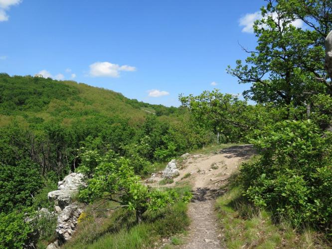 Hidegvár