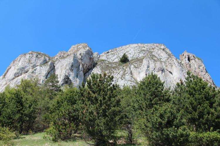 Oroszlánkő