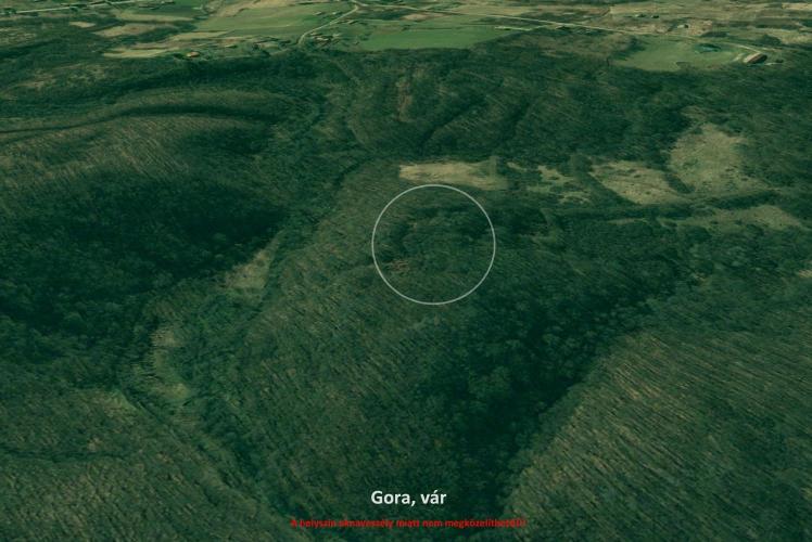 Gora