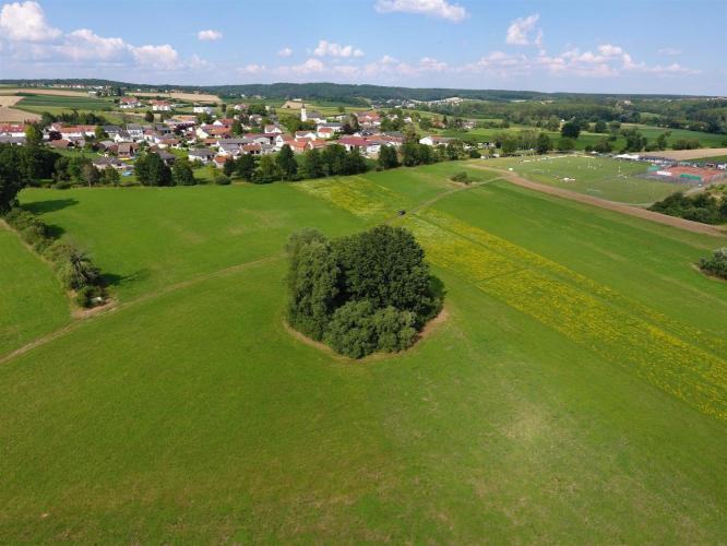 Vár