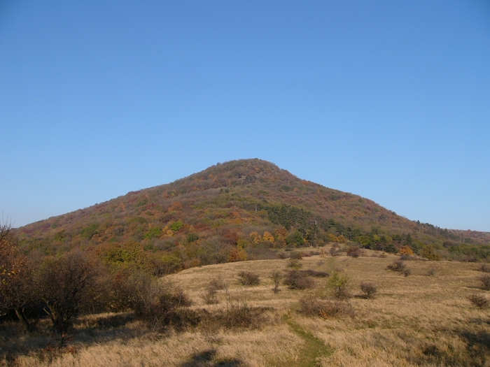 Zsibrica hegy