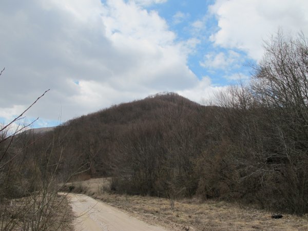 Karlovići dvori, Gradina