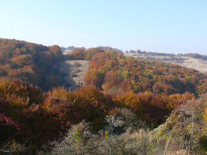 Oláhzsákod
