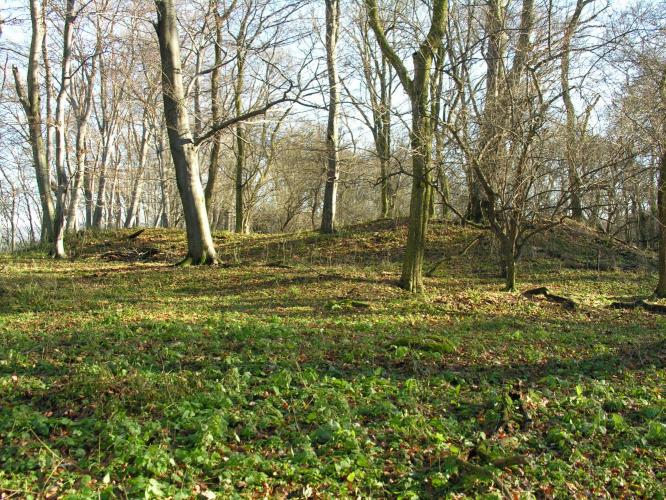 Szentgyörgyvár