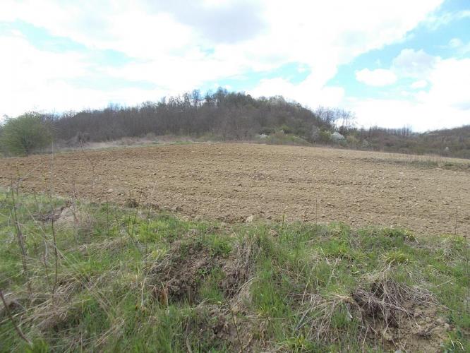 vár