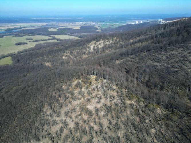 vár