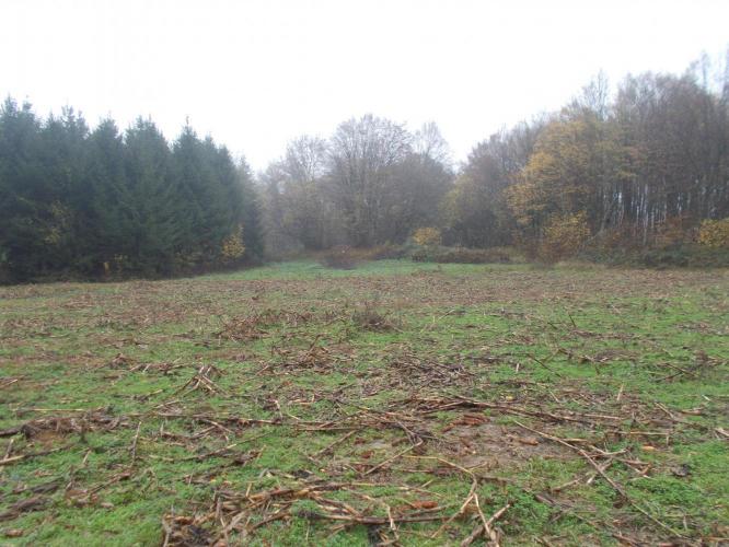 Mihályvár