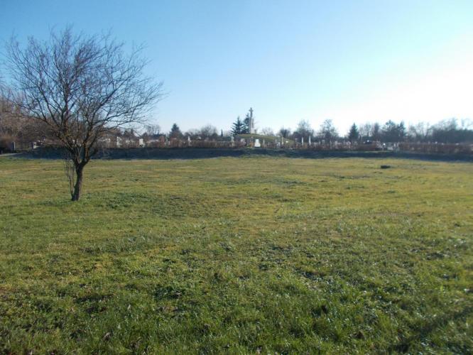 Alsópaty motte