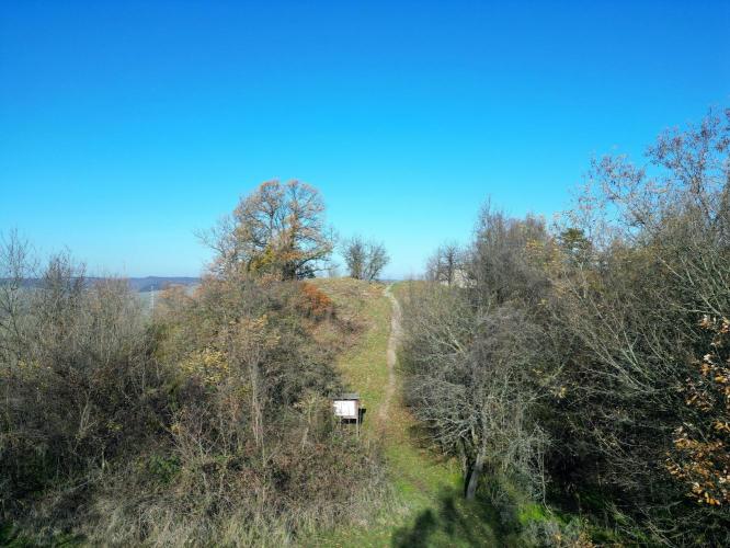 Fejérkő vára
