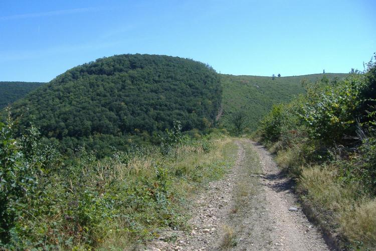 Mekecsvár