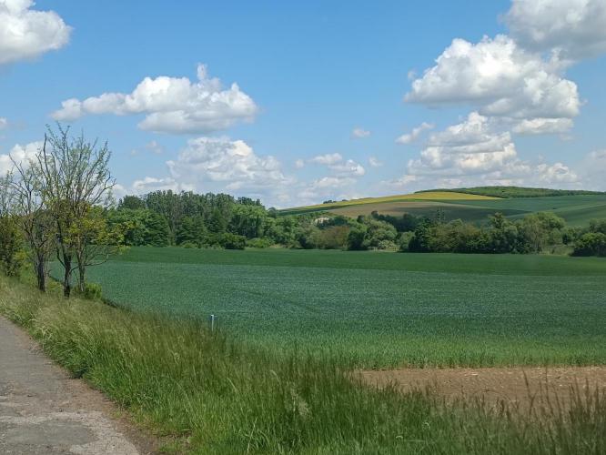 Várdomb