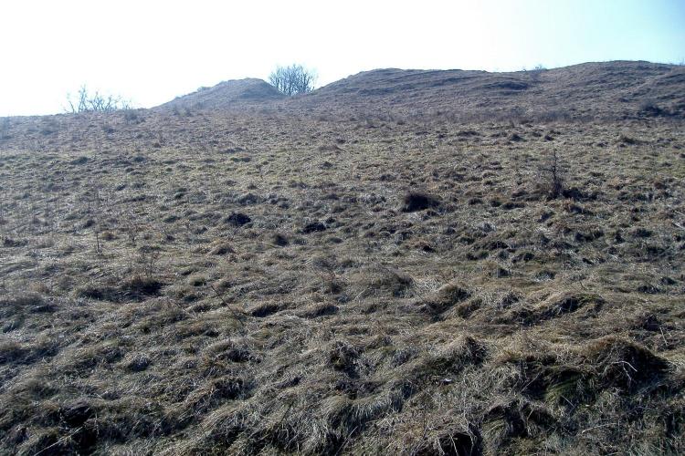 Pogányvár