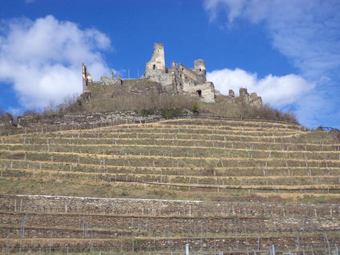 Senftenberg