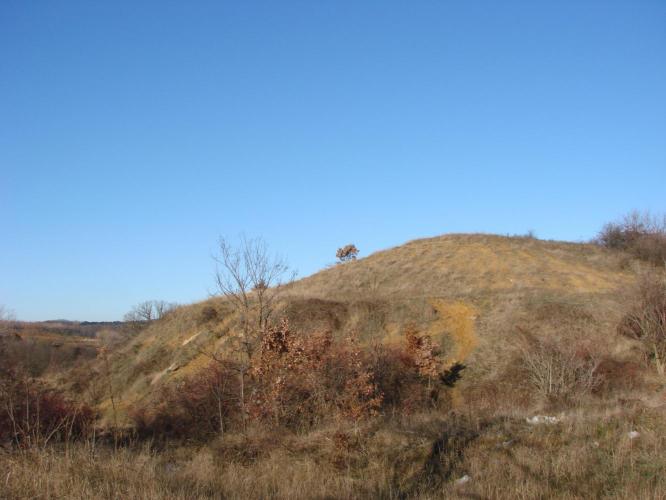 Kószavár