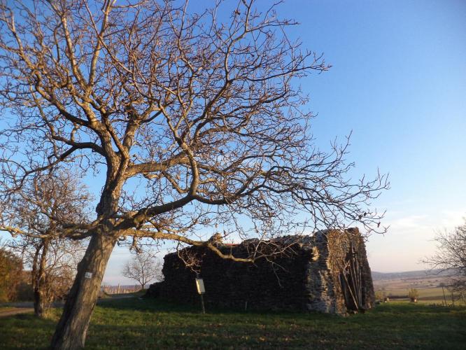 Töttöskáli templomrom