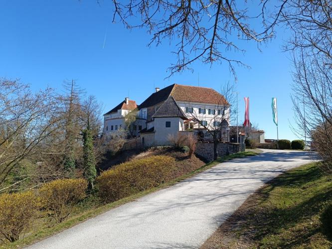 Kapfenstein vára