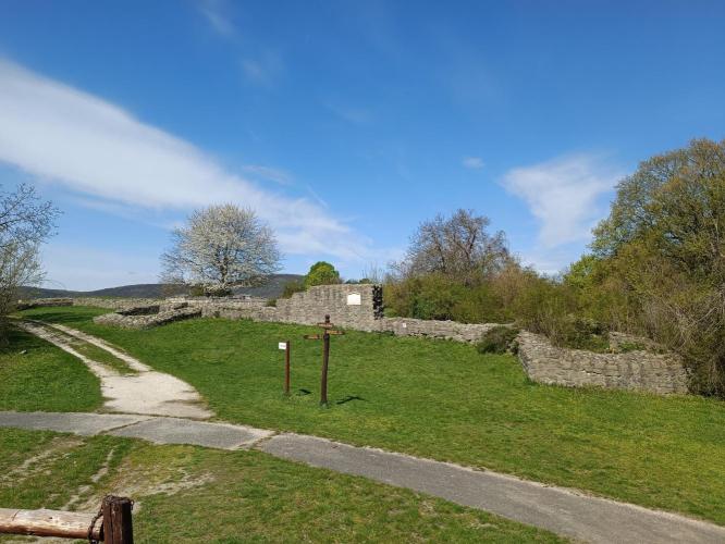 Sibrik-domb, ispánsági vár