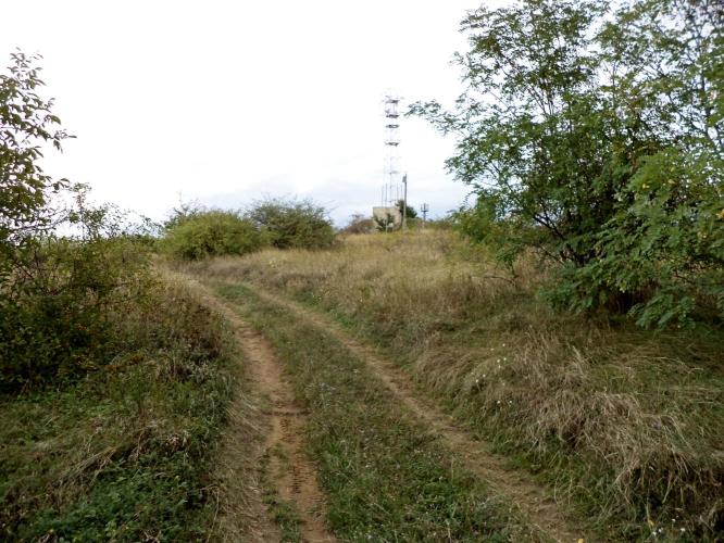 Bodrogvécs-Temető