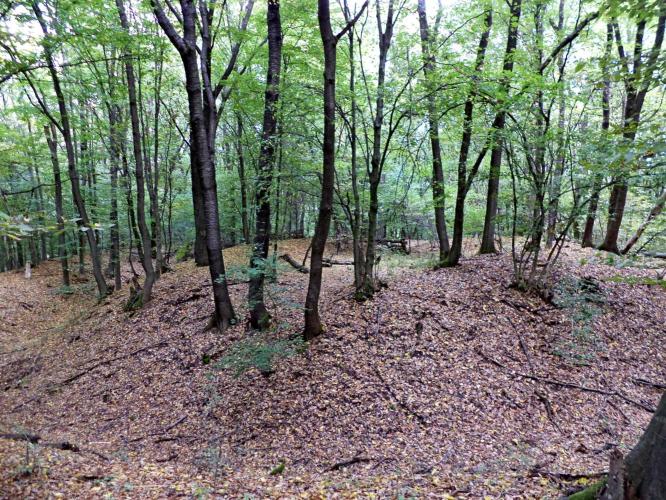 Sáncvár