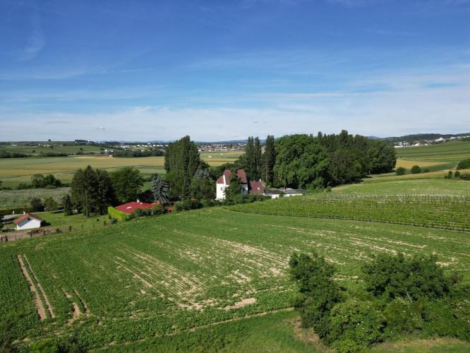 Hasfalva, Samersdorf - kastély