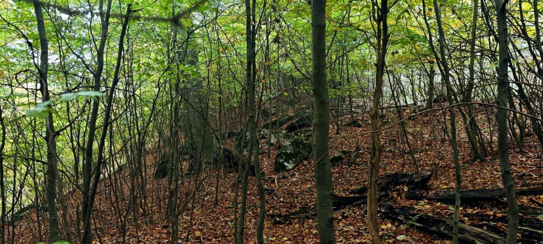 Ó-csikling, Ócsiklingvár