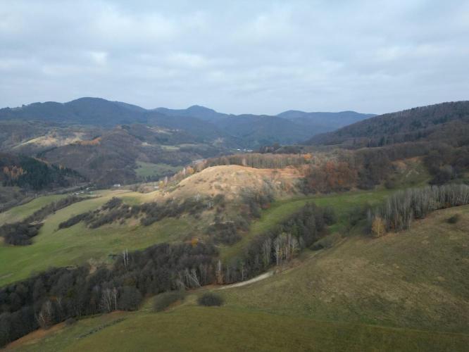 Jedlovina II.