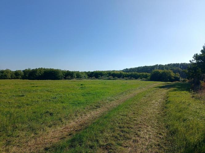 Taktaföldvár